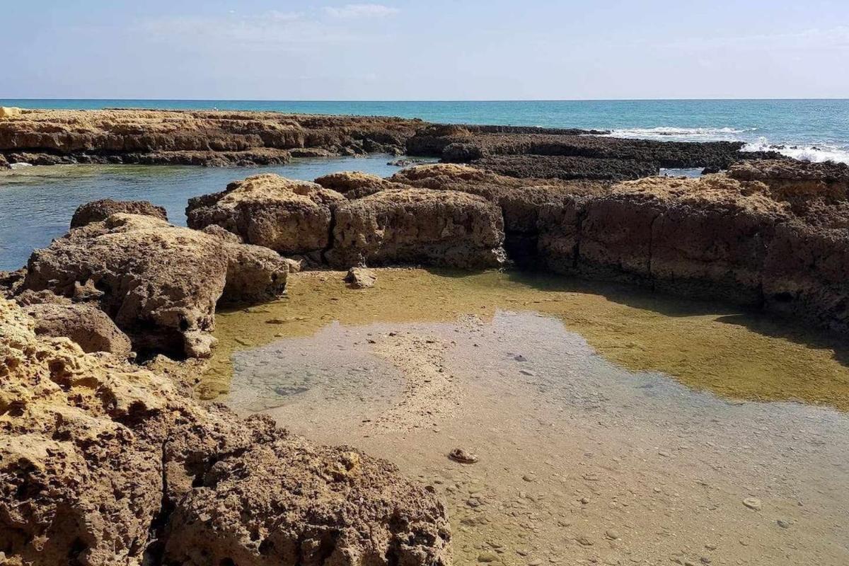 شقة Albufeira, Vista Mar المظهر الخارجي الصورة