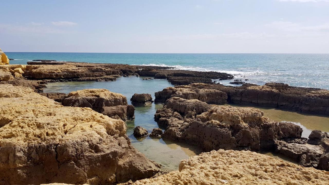 شقة Albufeira, Vista Mar المظهر الخارجي الصورة